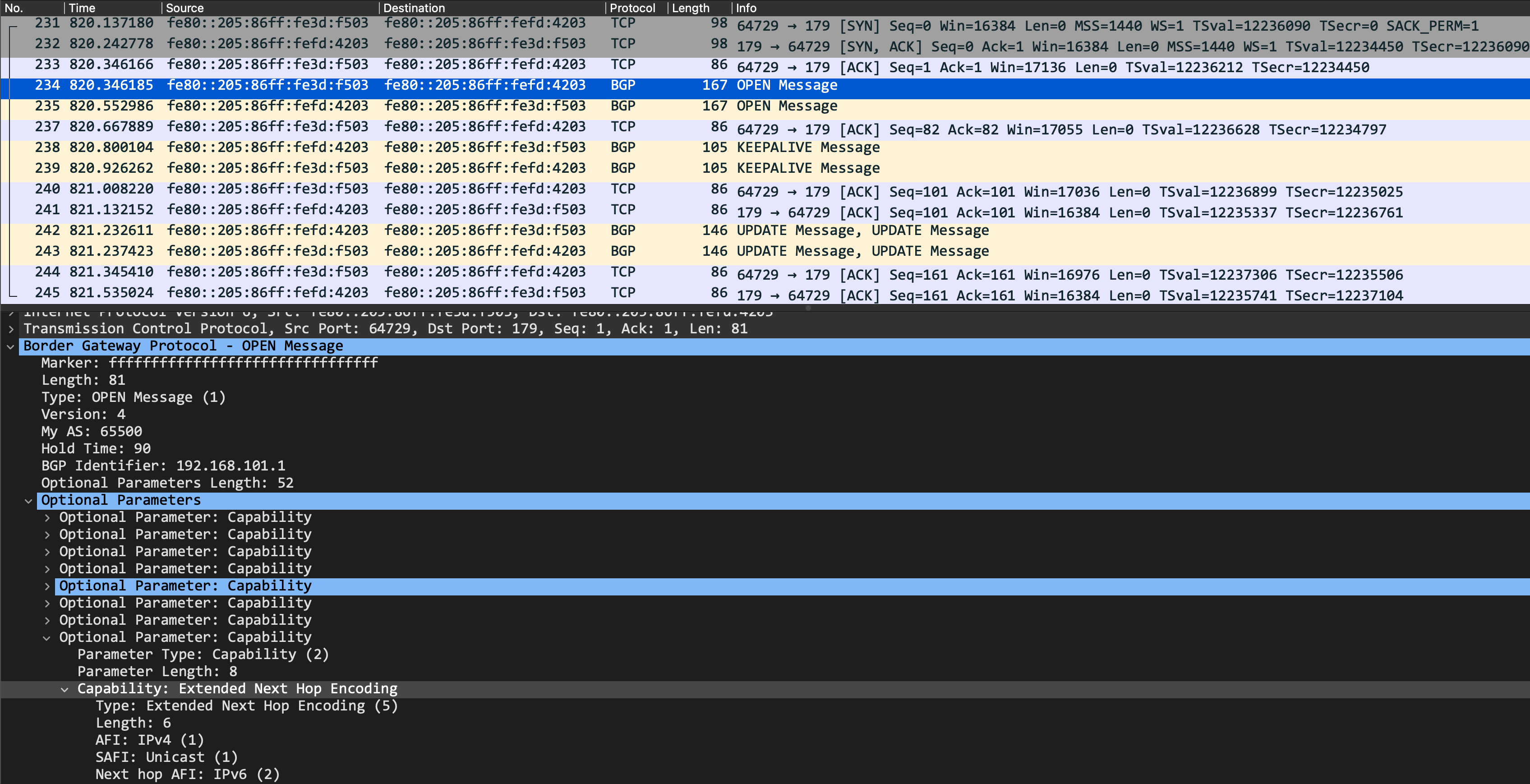 bgp_pcap